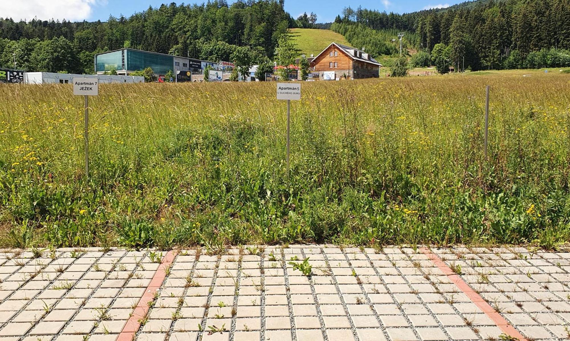 Apartmán U Suchého buku - Buková Hora Červená Voda Extérieur photo