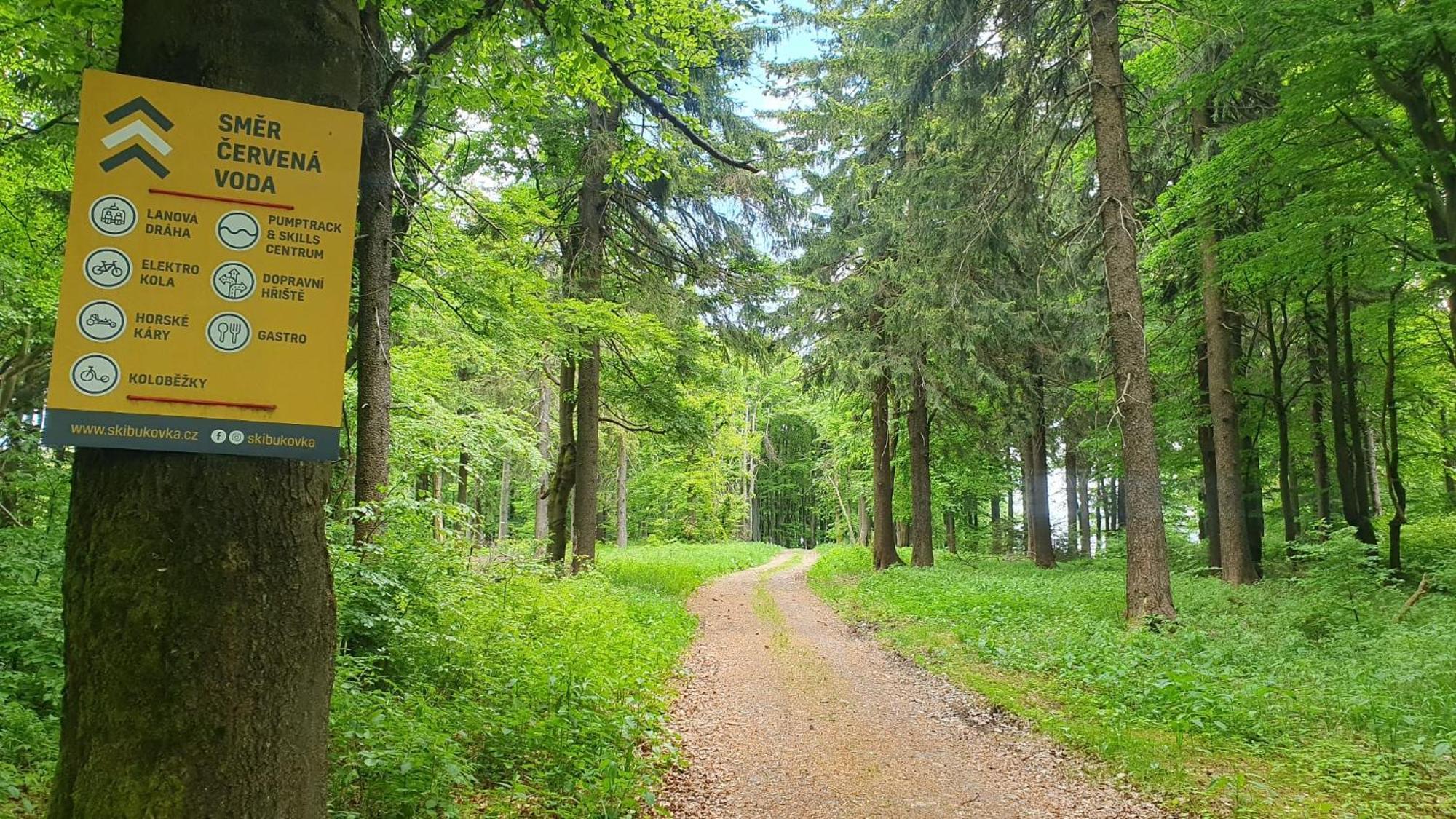 Apartmán U Suchého buku - Buková Hora Červená Voda Extérieur photo